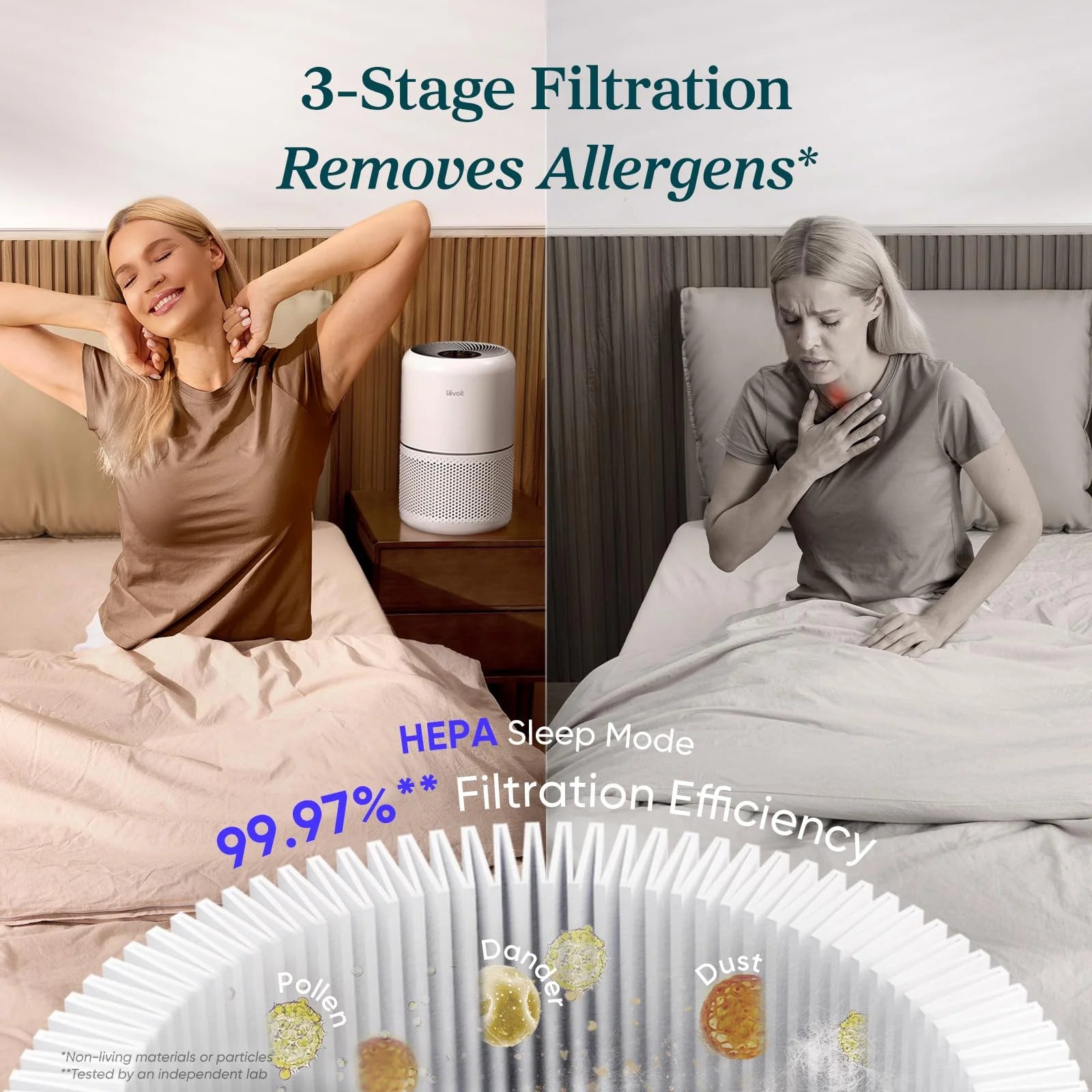 LEVOIT Air Purifier for Allergens & Pets, Core300-P, 2 Pack